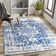 Manitou Dark Blue/Gray Rug