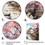 «Bartos China Spring Blossom II», reproduction sur toile-1137041348-1137041350