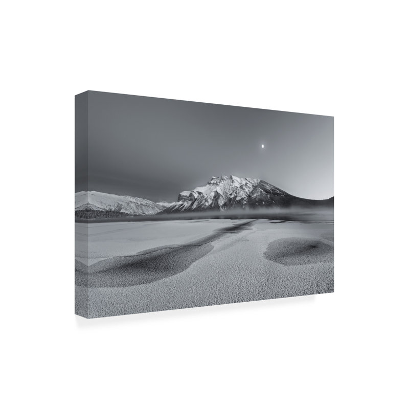 Art sur toile, Moon, H 22 po x l 32 po
