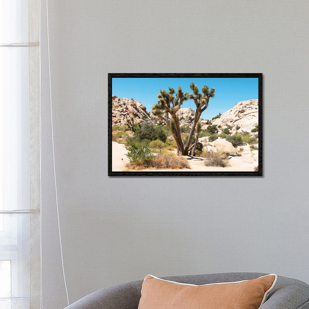 Amerikanischer Westen - Joshua Tree Wüste von Philippe Hugonnard - Galerie-umwickelte Leinwand Giclée auf Leinwand