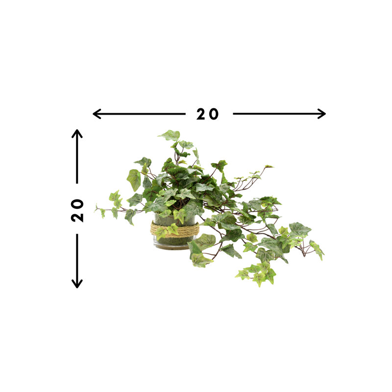Polysilk Ivy Arrangement in Vase