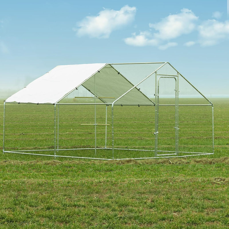 Cage à poules avec cage Alena, H 78,70 po x l 157,50 po x P 118,10 po