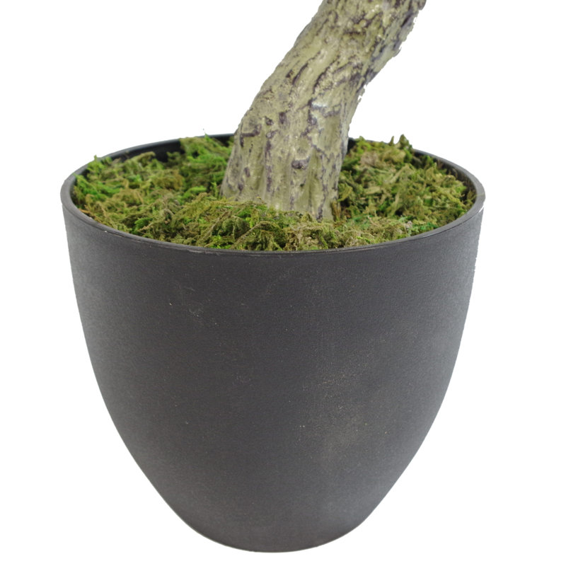 Anlin 75cm Faux Podocarpus Tree in Pot