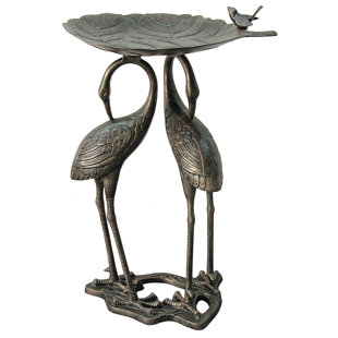 Bain d’oiseaux lily héron
