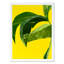 Untitled Print by Jones, Emma-116986435-116986436