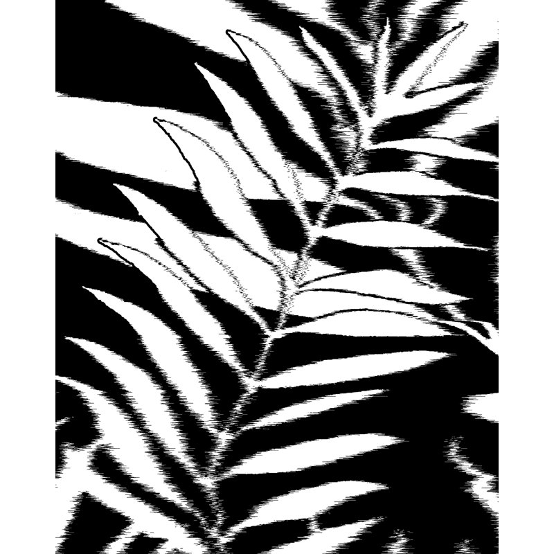 Floral Wallpaper, Black/White