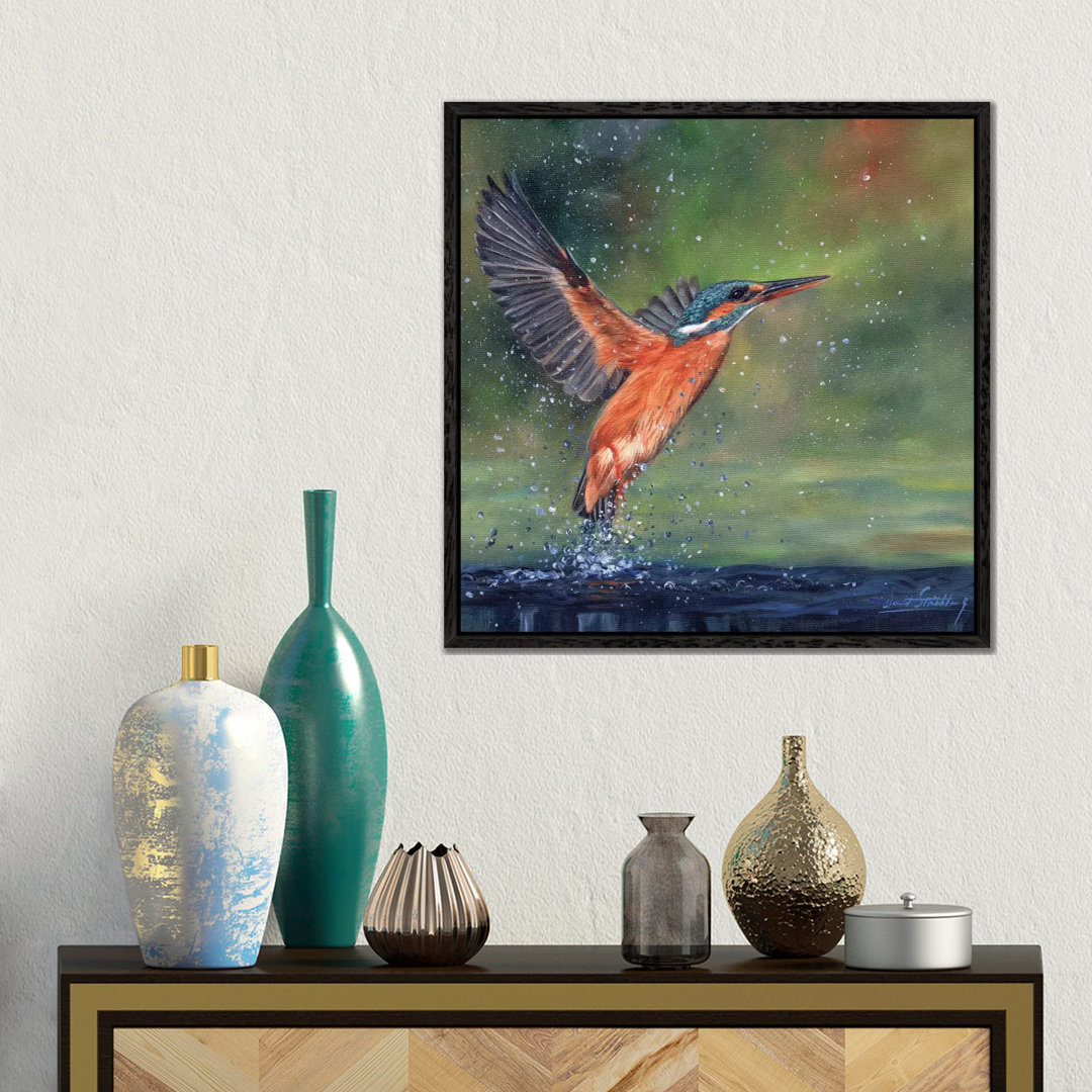 Eisvogel von David Stribbling - Galerie-umwickelte Leinwand Giclée