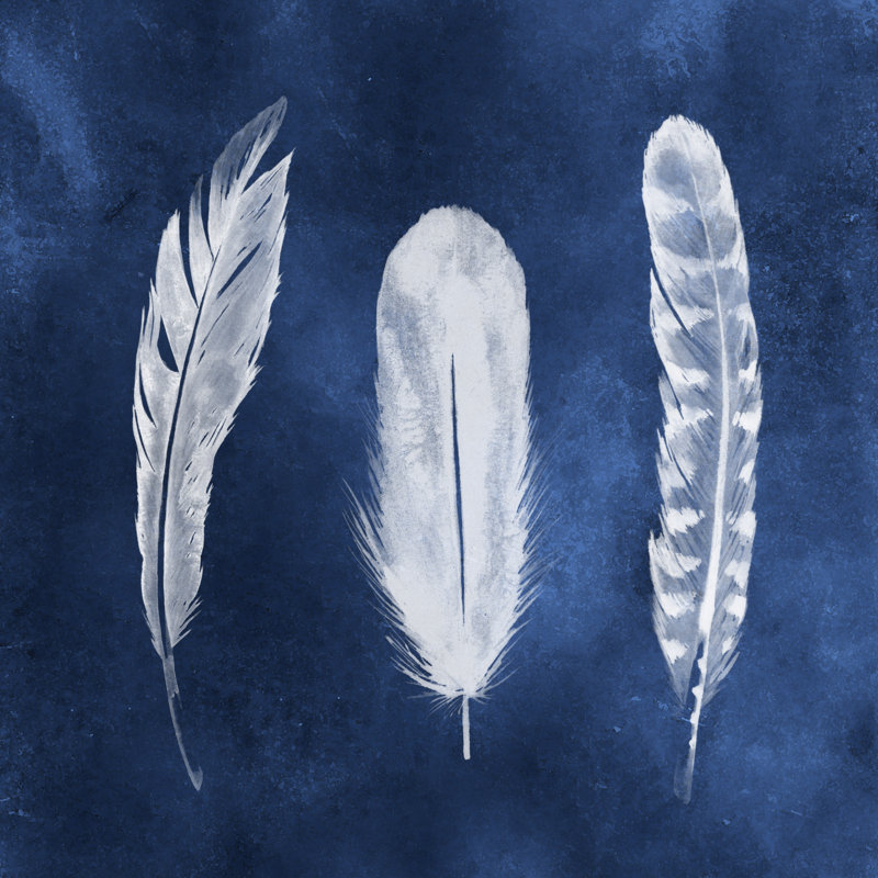 Cyanotype Feathers I by Grace Popp - Wrapped Canvas Painting, 30cm H x 30cm W