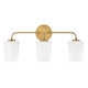 Fitz 3 Light Frosted Dimmable Vanity Light