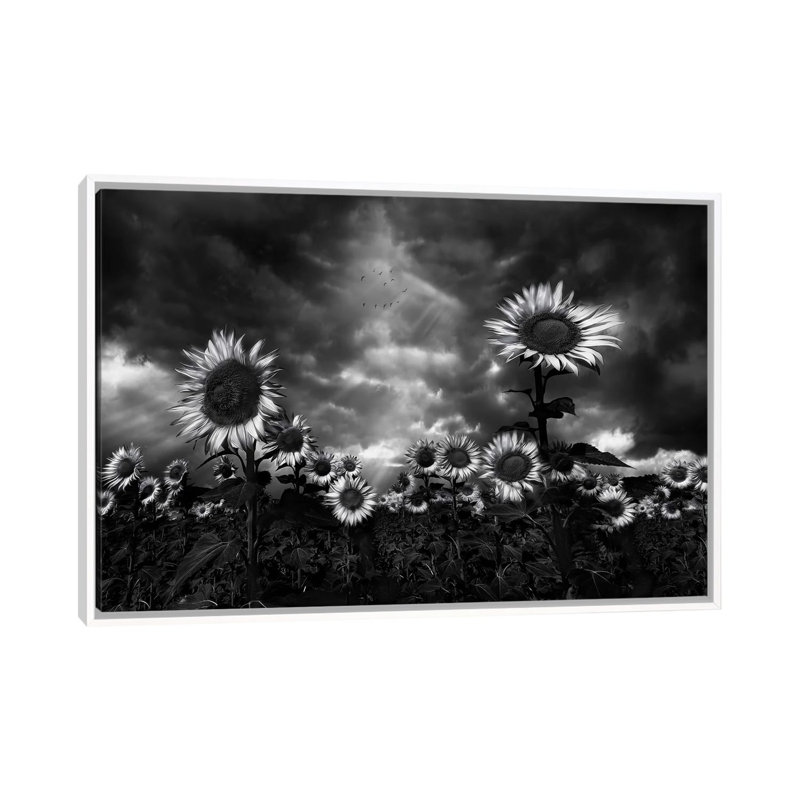 Sunflowers by Fran Osuna - Floater Frame Print on Canvas
