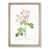 Oak Framed