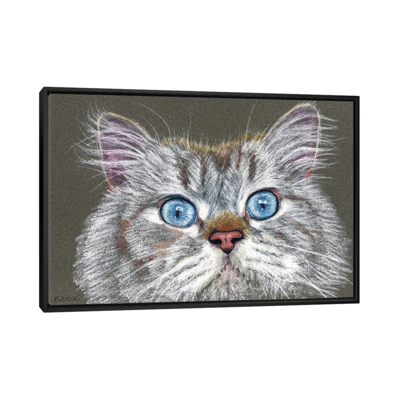 « étonnéed cat » par jennifer redstreake, impression sur toile tendue, H 18 po x l 26 po x P 1,5 po, Toile avec cadre noir