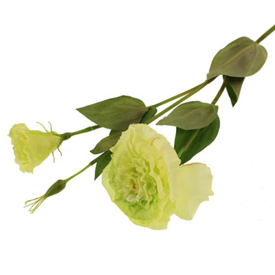 Eustoma Arrangement
