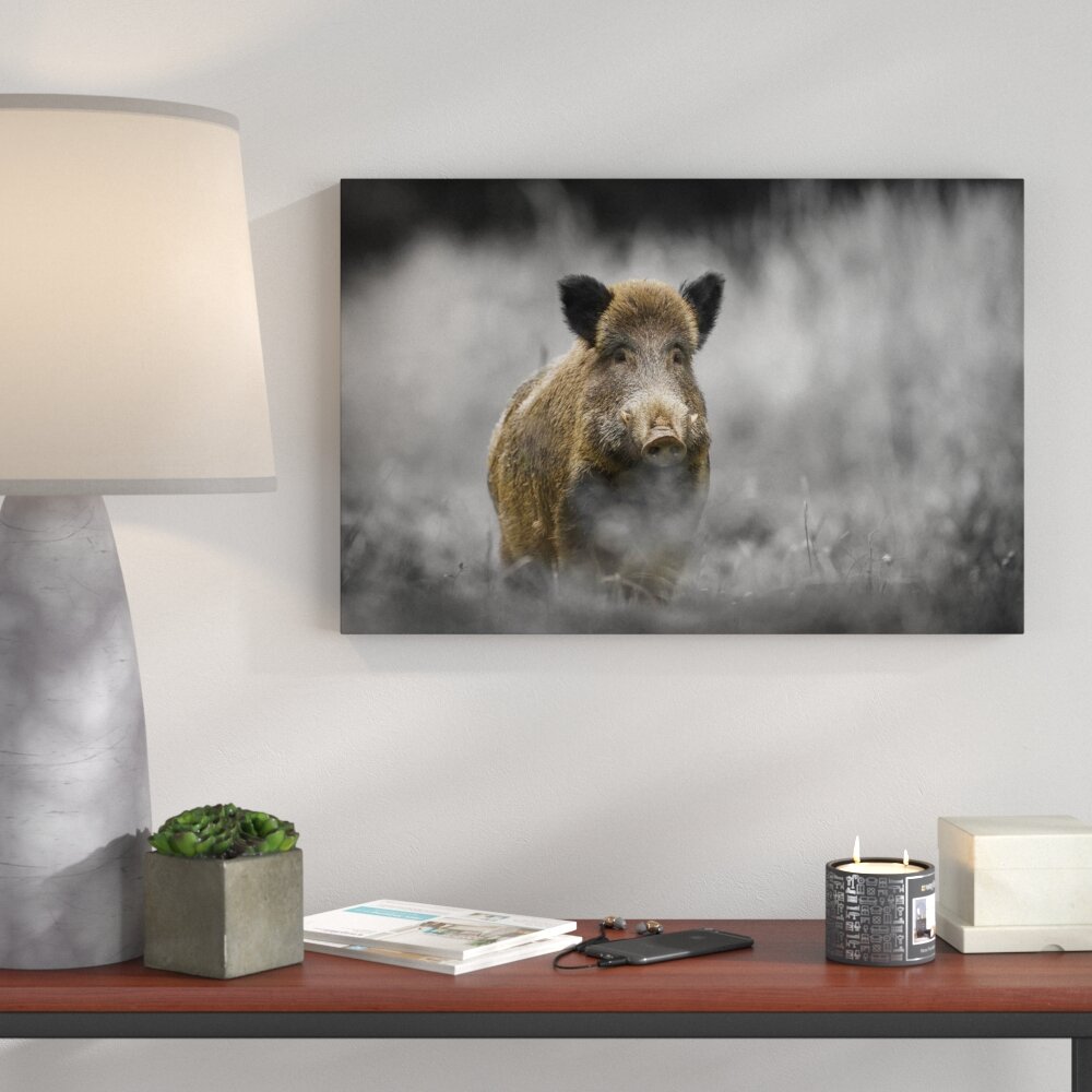 Leinwandbild „Einsames Wildschwein im Wald", Grafikdruck