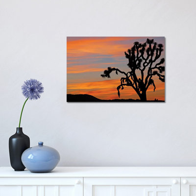 «Joshua Tree Sunrise» par Brian Wolf - impression sur toile tendue