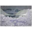 Glacier National Park Wool Throw
