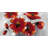Anemone Flowers Print On Canvas-98694443
