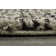 Tapis gris / ivoire Donna