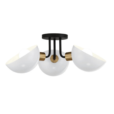 Anderle 3 Light Black & Aged Brass Ceiling Mount