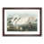 Walnut Framed