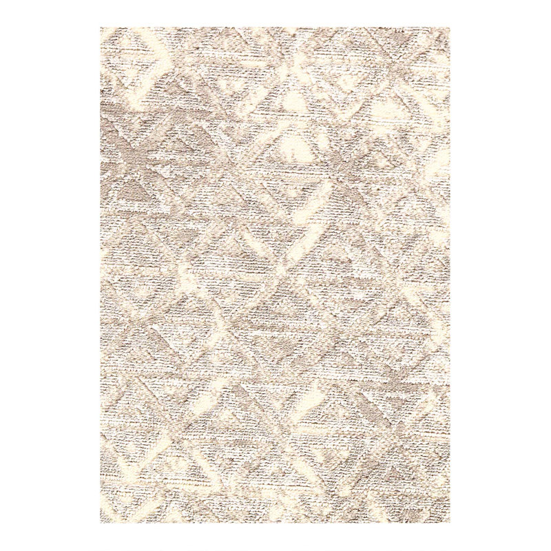 Tapis moderne à tissage large 2 pi x 3 pi