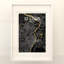 St. Louis City Map, impression-356995330-356995356