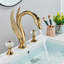 Widespread 2-handle Bathroom Faucet