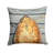 Outdoor Throw Pillow