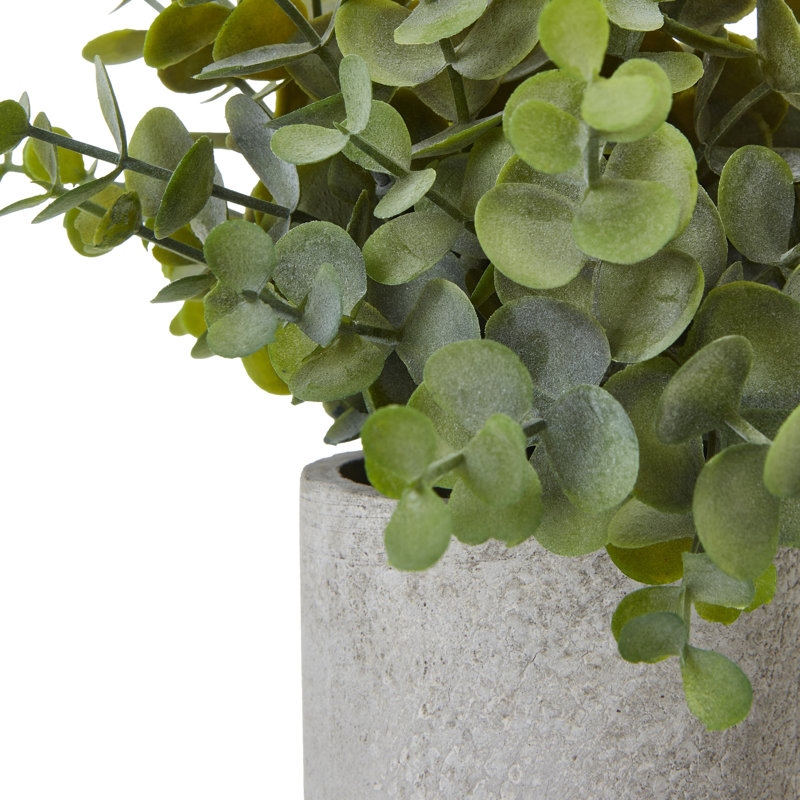 22cm Faux Plant in Pot, Green