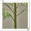 Palmier illuminé 4 pi 240 lumières DEL, arbre de verdure artificielle avec lumières pour la décoration intérieure de la maison