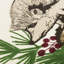  Coussin Hedgehog