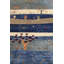 Landscape One-of-a-Kind 7'10" X 9'11" Area Rug