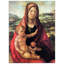 Albrecht Dürer - Wrapped Canvas Print