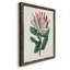 Protea N13 - Peinture sur toile encadrée-267897607-267897610