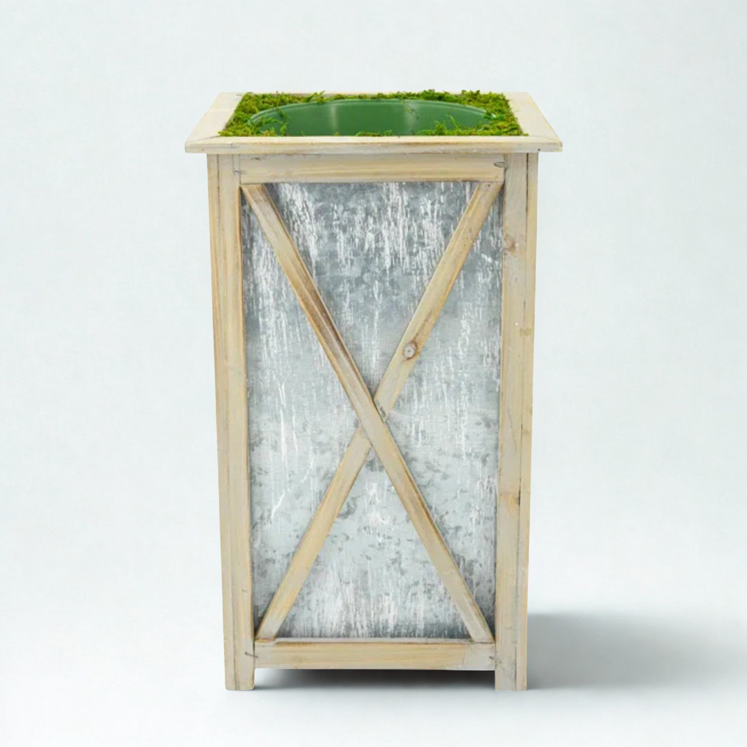 Boutell Pot Planter Gracie Oaks 