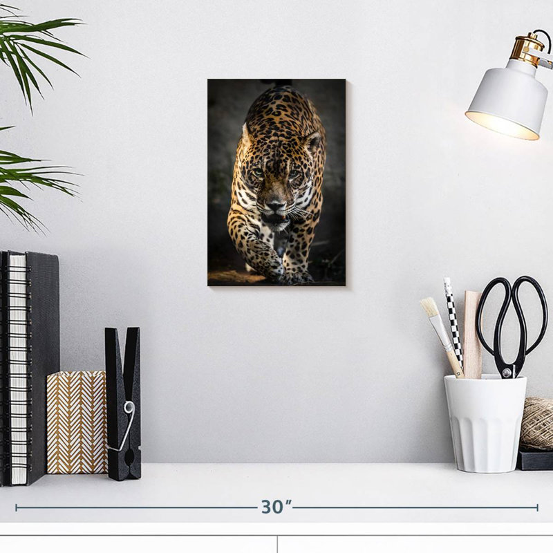 Brampt Strutting Jaguar, H 12 po x l 8 po