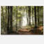 «Green Fall Forest with Sun Rays - Forest», reproduction de photo-950897109-1066830206-1069226668