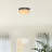 Troy Glass Semi Flush Mount
