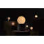 Castle Muse Desk Table Lamp
