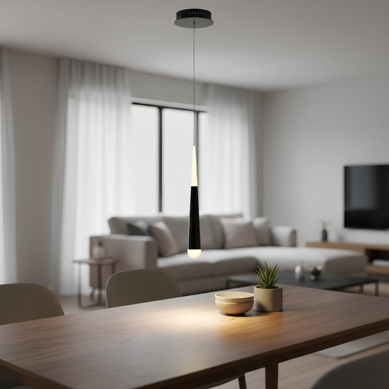 Luminaire suspendu simple 1 lumière Aeisha, Noir mat