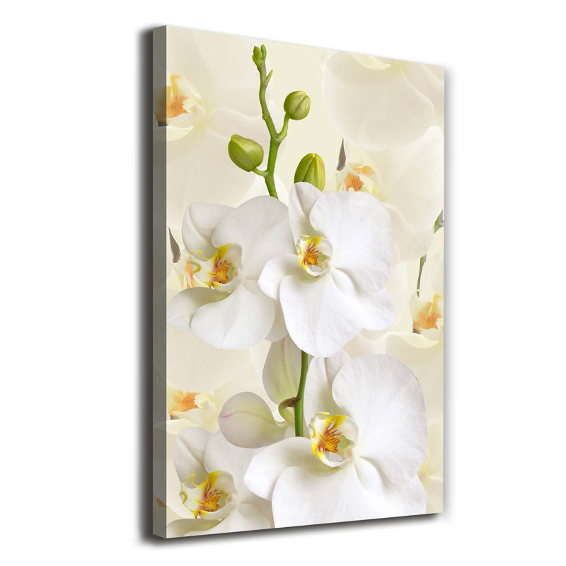 White Orchid - Wrapped Canvas Print