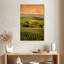 Alvord Carneros Vineyard-108624496