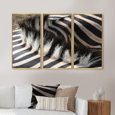 " Detail Of Black And White Zebra Lines V " 3 - Pieces