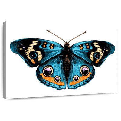 Brampt Butterfly Symmetry