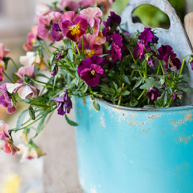 Rhinebolt Handmade Metal Pot Planter