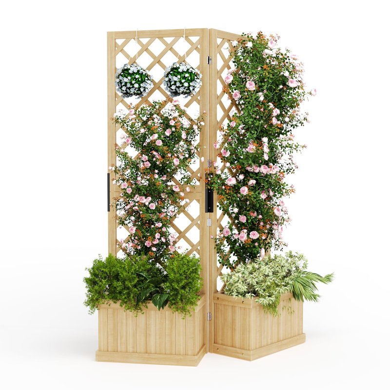 Paravent Cedar