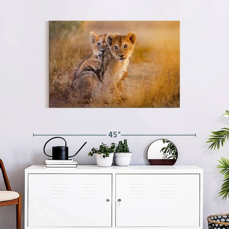 Adorables lionceaux Brampt, H 24 po x l 36 po