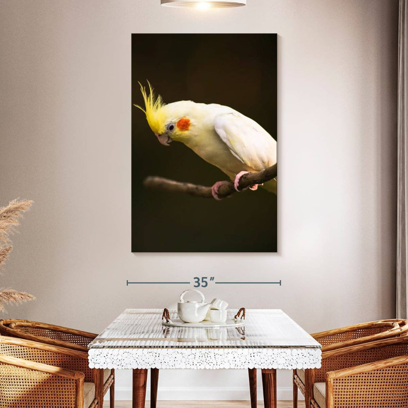 Rosy Cheeked Cockatiel, 45" H x 30" W