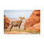 Wall Art on Canvas-723525050