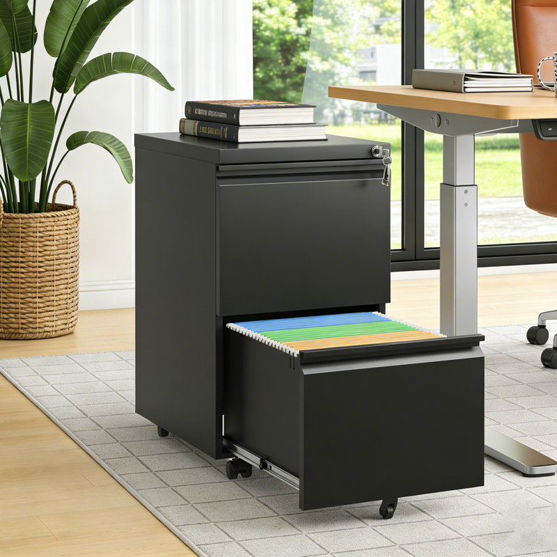 Armoire de classement en métal à 2 tiroirs avec serrure de 14,6 po Mak Peace, Noir